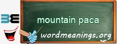 WordMeaning blackboard for mountain paca